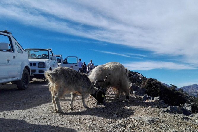 4x4 self drive adventure_Cretan mainland - Omalia Olive Press: where the tasting time actually matters