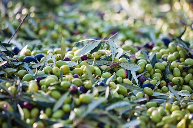 Afternoon Tour: Soap, Olive Oil & Wine Stories of Peza Village - Boutique winery time: vineyards, cellar talk, and Vidiano plus Kotsifali