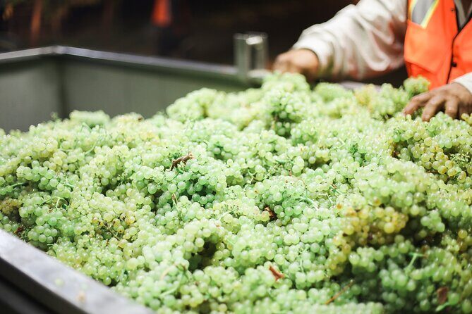 Afternoon Tour: Soap, Olive Oil & Wine Stories of Peza Village - Price and value: why $81.62 can make sense here
