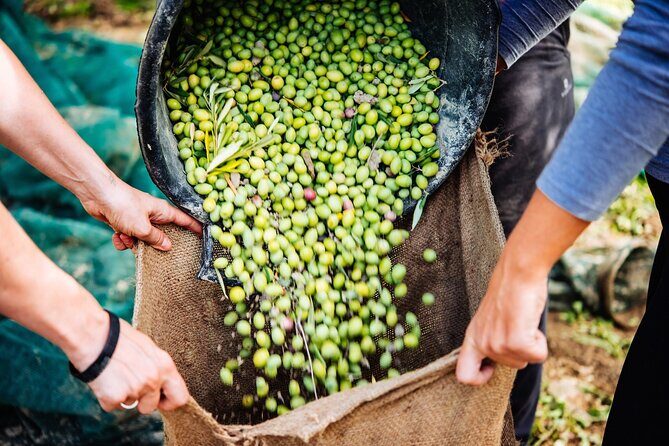 Afternoon Tour: Soap, Olive Oil & Wine Stories of Peza Village - Soap, olive oil, and herbs: the workshop where you make the souvenir