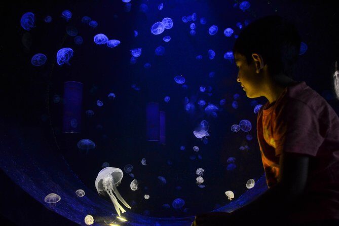 CRETAquarium Entrance Ticket in Crete - Timing your visit: opening hours that make planning easier