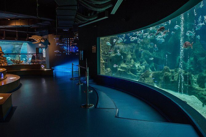 CRETAquarium Entrance Ticket in Crete - Optional audio guide: when 3 euros is worth it