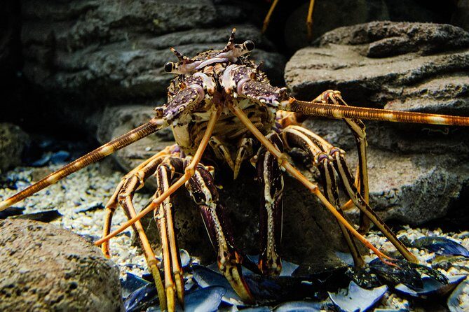 CRETAquarium Entrance Ticket in Crete - Getting there: meeting point and what makes entry smooth