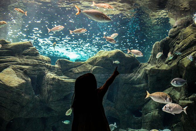 CRETAquarium Entrance Ticket in Crete - Inside the exhibits: 60 tanks of Mediterranean life