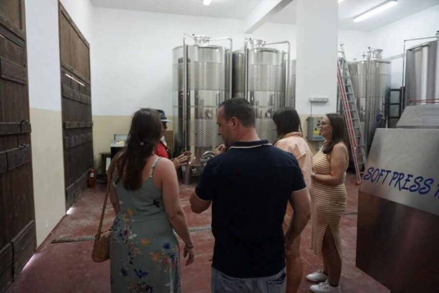 Crete: Full-Day Cretan Wines, Olive Oil, Raki and Food Tour - Who should book this tour, and who should think twice