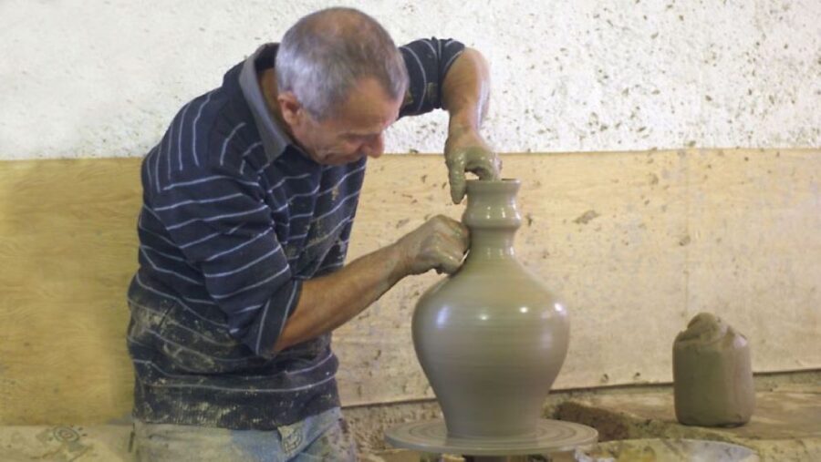 Crete: Full-Day Cretan Wines, Olive Oil, Raki and Food Tour - The winery visit: organic vineyards and 5 wines