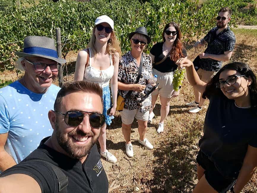 Crete: Knossos Palace, Winery & Olive Oil Tour with Lunch - The Transfer to the Winery and Olive Oil Stop (Kounavi Area)
