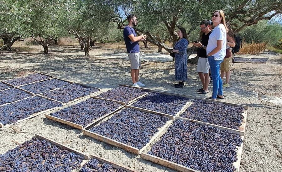 Crete: Knossos Palace, Winery & Olive Oil Tour with Lunch - Price and Logistics: What’s Included, What’s Not, and How to Budget