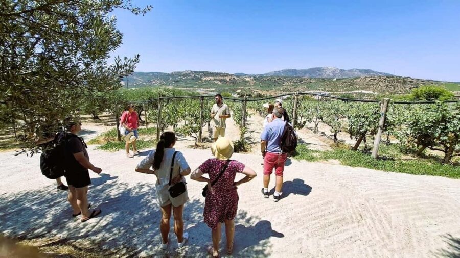 Crete: Knossos Palace, Winery & Olive Oil Tour with Lunch - Morning Start at Knossos Palace: Why the Timing Matters