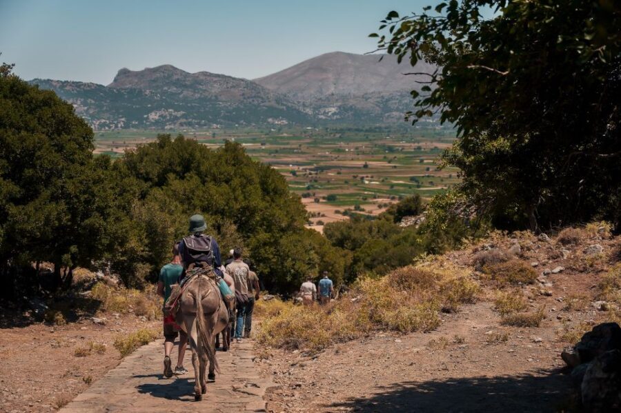 Crete: Lasithi Plateau & Knossos Palace Tour - Knossos Palace: Minoan ruins plus the Minotaur and Labyrinth story