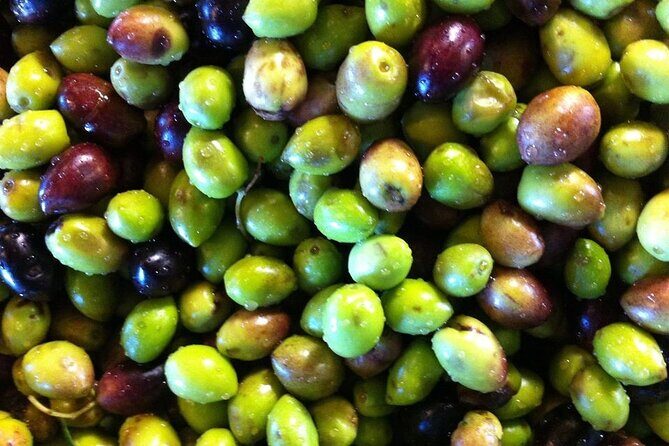 Crete: Olive Oil, Soap, Wine, Raki - Flavorful Culinary Journey - Price and value: what you get for about $111