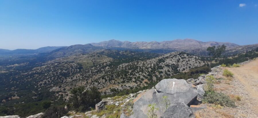 Crete: Olive, Wine, & Raki on a Flavorful Culinary Journey - Price and Value: Why $126 Can Work Out Pretty Fair Here