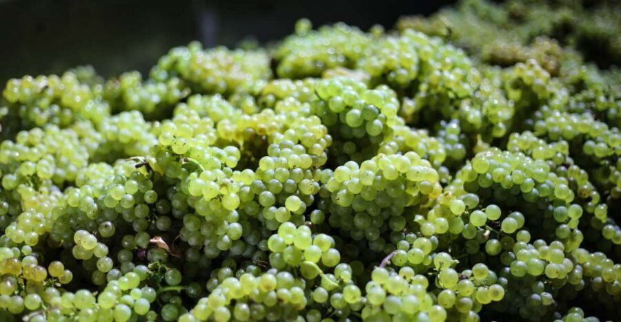 Crete: Olive, Wine, & Raki on a Flavorful Culinary Journey - The Best Fit: Who This Tour Suits (and Who Might Want Another Option)