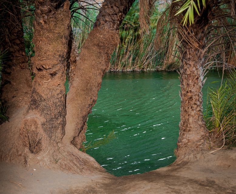 Crete: Preveli Tropical Beach and Palm Forest - Key points I think you’ll care about