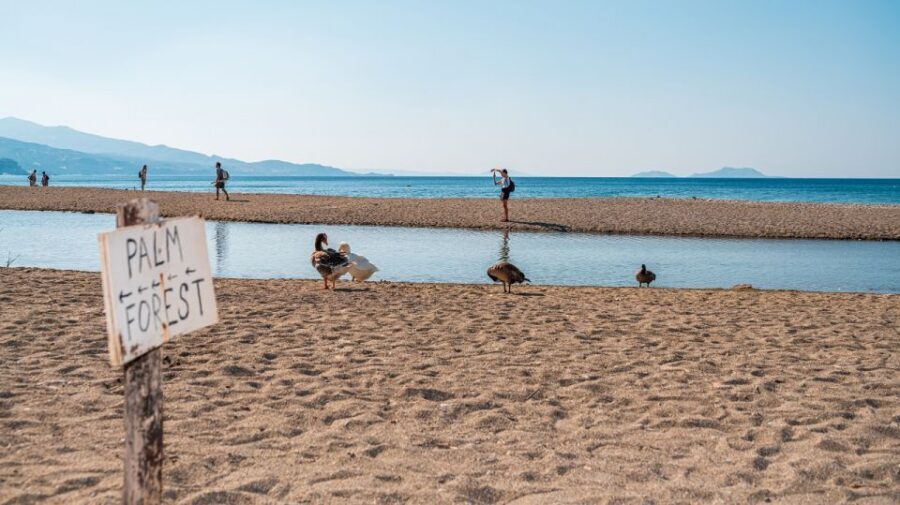 Crete: Preveli Tropical Beach and Palm Forest - Price and value: what $46.30 really buys you