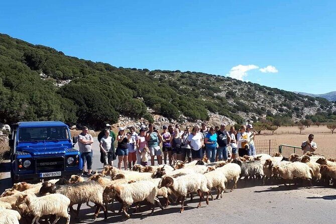 Crete: Tripitis Gorge South Crete Guided Jeep Safari - Morning Pickup in Heraklion: Why 8AM Matters