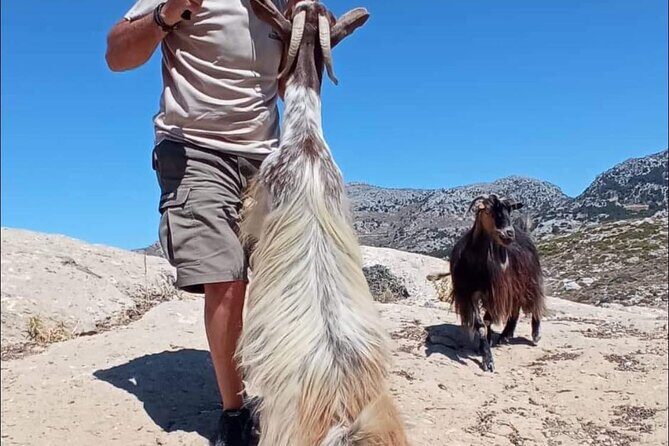 Crete: Tripitis Gorge South Crete Guided Jeep Safari - Price and Value: What $118.95 Buys You