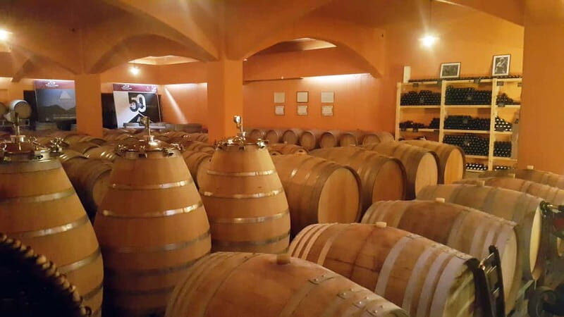 Discover Taste of Crete: Guided Winery Tour and Tastings - Price and value: is $119 per person worth it?