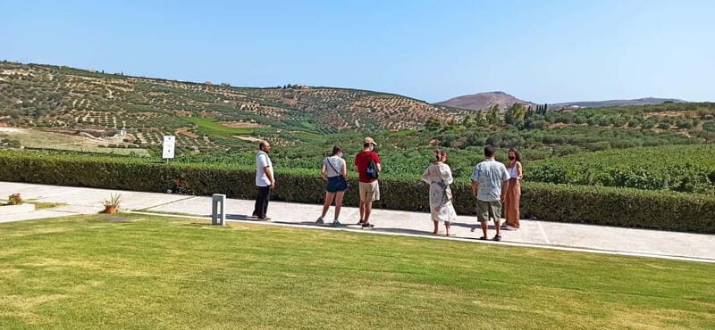 Discover Taste of Crete: Guided Winery Tour and Tastings - Stop 2 at Lyrarakis Winery: scenic drive, tasting time, and breathing room