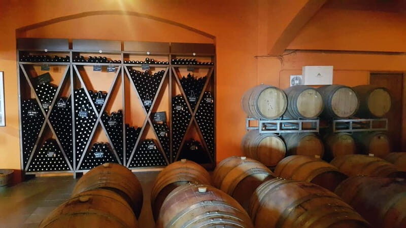 Discover Taste of Crete: Guided Winery Tour and Tastings - What you’ll taste: comparing Paterianakis and Lyrarakis