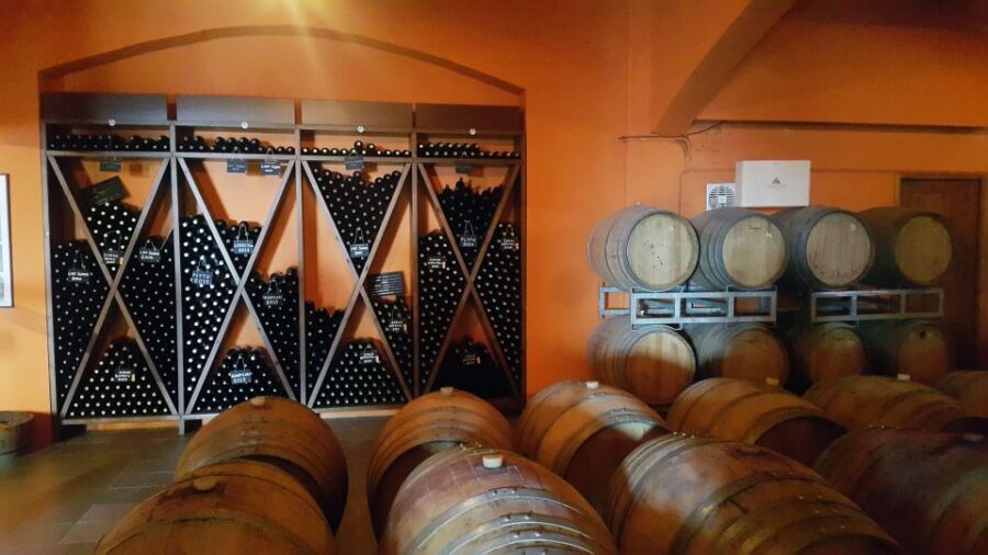 Discover Taste of Crete: Guided Winery Tour and Tastings - How the guide turns wine into culture (the best part)