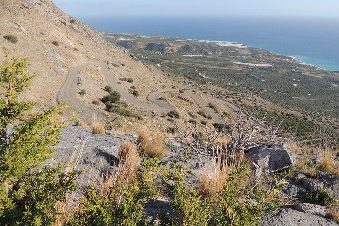 Discover The Secrets Of The Southern Crete Jeep Safari tour - Stop 2: Avdou Olive Mill for Real Cretan Olive Oil Production