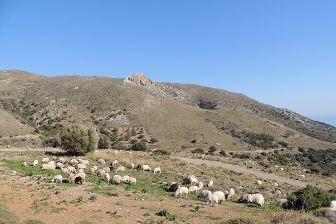 Discover The Secrets Of The Southern Crete Jeep Safari tour - Lunch by the Sea and Free-Flow Local Wine: The Value Payoff