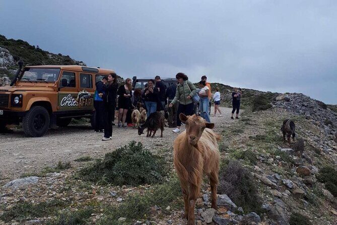 Discover The Secrets Of The Southern Crete Jeep Safari tour - Pickup in Heraklion Area and When to Plan Your Day