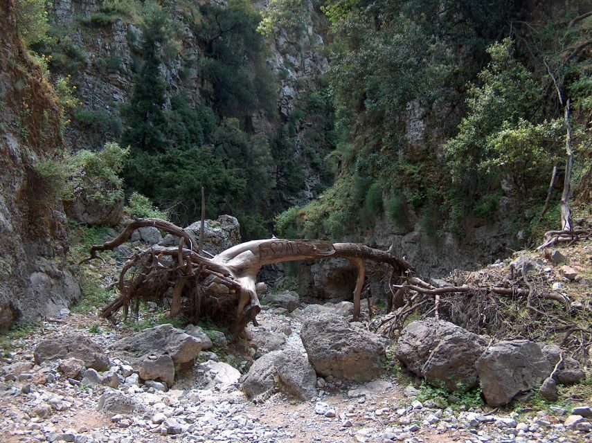 From Heraklion: Imbros Gorge and Libyan Sea Guided Day Trip - Libyan Sea Swim Break: Cooling Off After the Descent