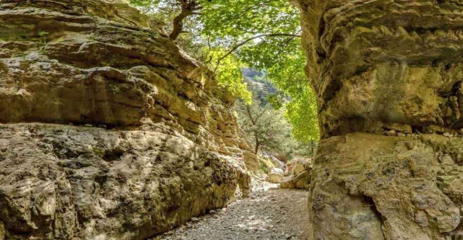 From Heraklion: Imbros Gorge and Libyan Sea Guided Day Trip - Greek Lunch + Timing: What 10–12 Hours Really Feels Like