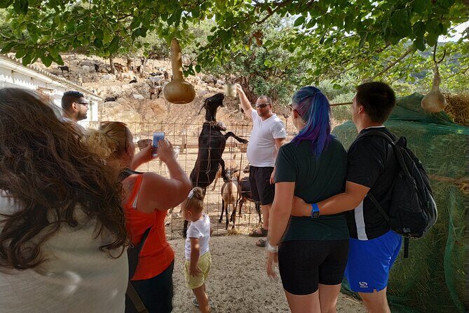 Full-Day Jeep Safari Tour with Cooking Lesson - Stop 2: Aposelemis Dam and the Story of Sfendili’s Old Houses