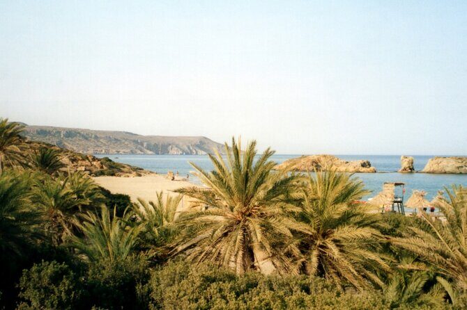 Full-Day Tour to Vai Palm Beach, Toplou Monastery, and Sitia Town - Sitia Town on Your Own Time: Coffee, Sweets, and an Easy Beach Walk