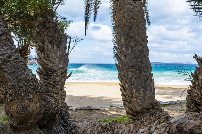 Full-Day Tour to Vai Palm Beach, Toplou Monastery, and Sitia Town - Included vs. Extra Costs: What You Pay For (And What You Don’t)