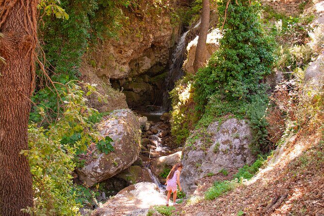 Half-Day Private Tour & Picnic in Real Cretan Countryside Retreat - Food, Coffee, and the Small Details That Make It Feel Thoughtful