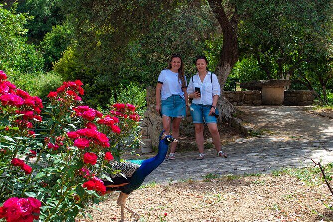 Half-Day Private Tour & Picnic in Real Cretan Countryside Retreat - What the Guide Adds (Beyond “Where to Go”)