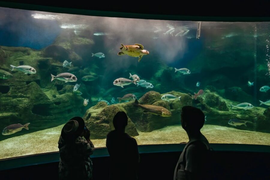 Heraklion Area: CRETAquarium Admission Ticket - How long to plan: 1 hour that can stretch to 2