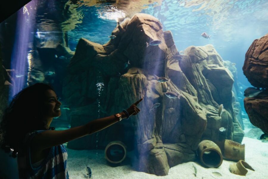 Heraklion Area: CRETAquarium Admission Ticket - Price and value: the $9 entrance fee math