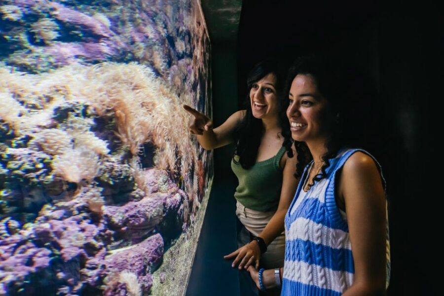 Heraklion Area: CRETAquarium Admission Ticket - Getting there from Heraklion and the north coast