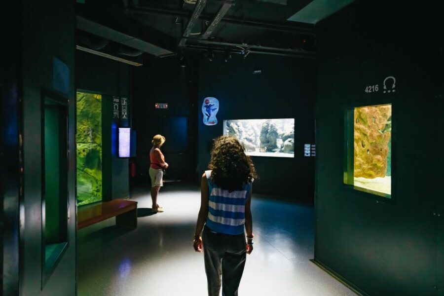 Heraklion Area: CRETAquarium Admission Ticket - Who this aquarium ticket suits best