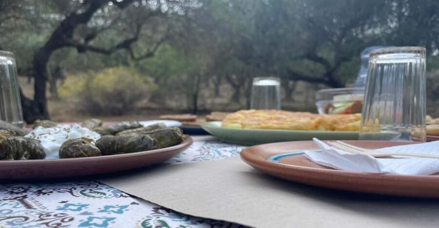 Heraklion: Cretan Farmers Brunch and Olive Grove Tour - Price and value: what $35 buys you in real life