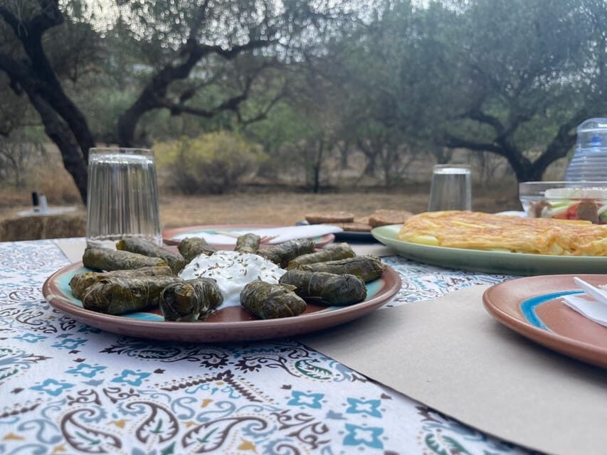 Heraklion: Cretan Farmers Brunch and Olive Grove Tour - The 90-minute flow: how the experience is paced