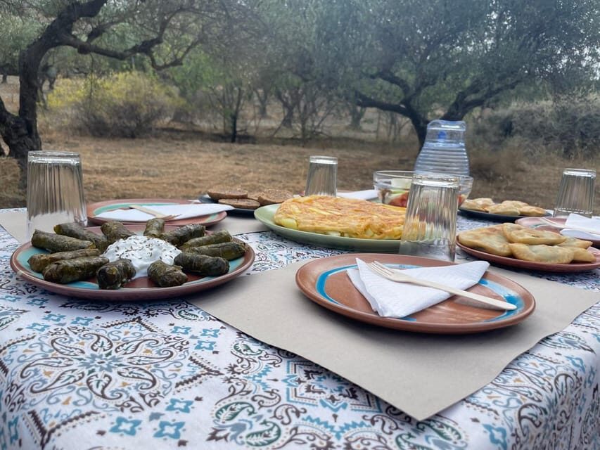 Heraklion: Cretan Farmers Brunch and Olive Grove Tour - Dragon fruit farm stop: rare fruit, real farming, practical tasting