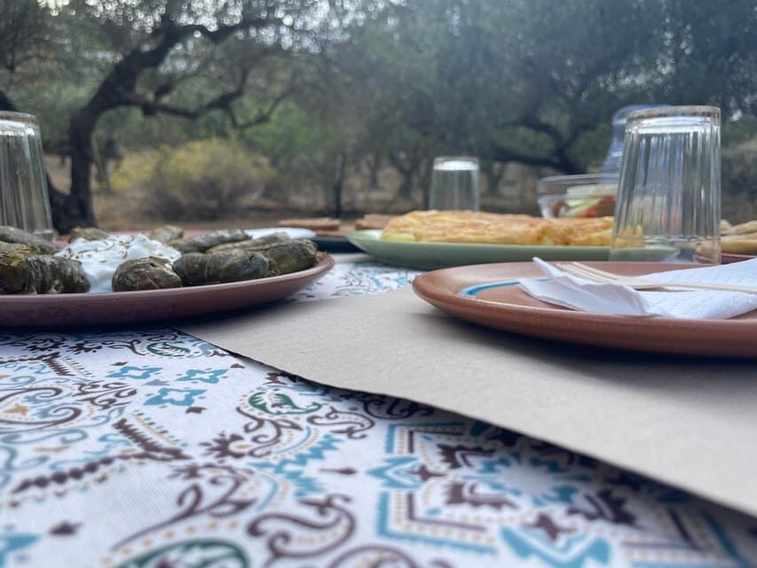 Heraklion: Cretan Farmers Brunch and Olive Grove Tour - The olive grove tour: from tree talk to olive oil reality