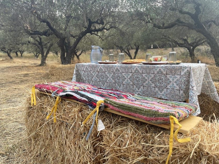 Heraklion: Cretan Farmers Brunch and Olive Grove Tour - Olive grove brunch in Heraklion: where this tour really shines