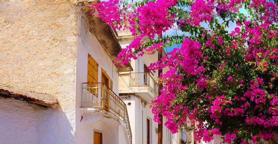 Heraklion: Eastern Crete Highlights Shore Private Tour - Who should book this Eastern Crete highlights tour