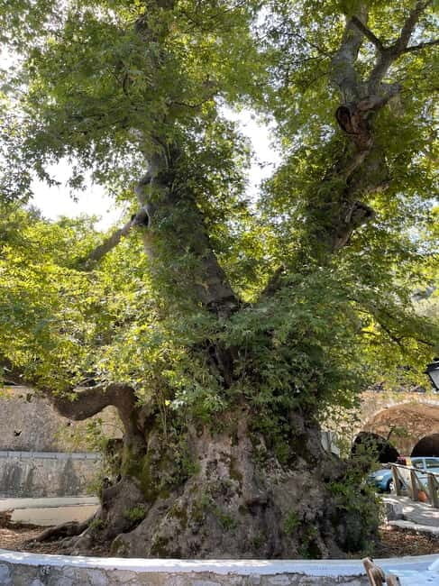 Heraklion: Knossos, Zeus, Villages & Olive Oil Factory Tour - Lunch at a family restaurant: order food, pair with local wine or beer