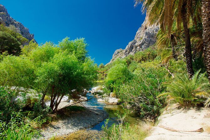 Heraklion: Preveli Boat Trip, Damnoni & Kourtaliotiko springs - Kourtaliotiko Gorge Springs: a quick walk, then crystal-clear water