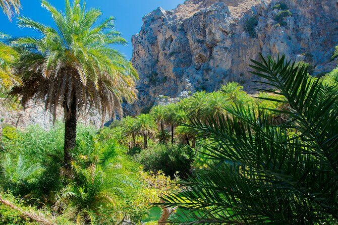 Heraklion: Preveli Boat Trip, Damnoni & Kourtaliotiko springs - Preveli Palm Beach: the palm-forest river moment