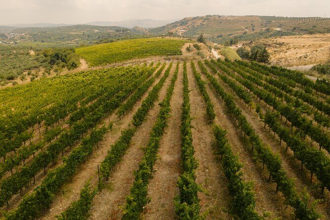 Heraklion Private Half-Day Gastronomy Diaries Experience in Lyrarakis Winery - Lunch menu in full: what you’ll eat (and what it pairs with)