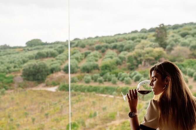Heraklion Private Half-Day Gastronomy Diaries Experience in Lyrarakis Winery - Price and value: what you’re paying for at $276.95 per person